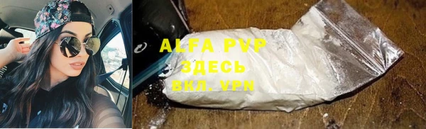 шишки Ладушкин
