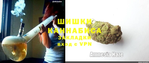 шишки Ладушкин