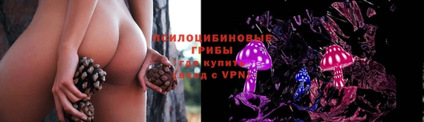шишки Ладушкин