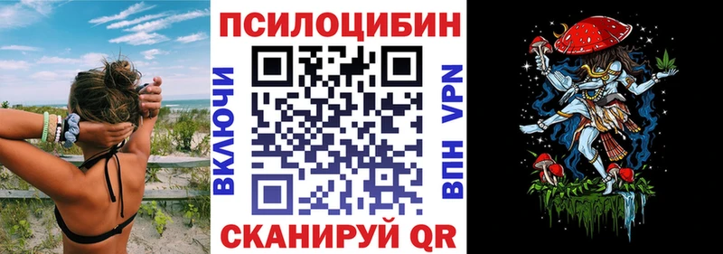 Галлюциногенные грибы Psilocybe  сайты даркнета наркотические препараты  Железногорск-Илимский  цены  